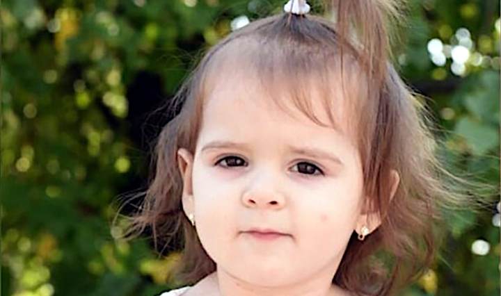 Die verschwundene zweijährige Danka Ilić